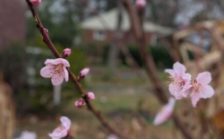 PXL 20240304 122623455.PORTRAIT